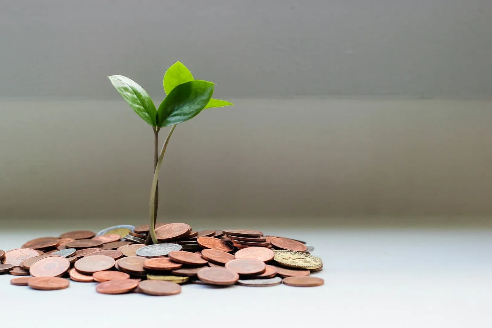 How to Diversify Creator Income Beyond Brand Deals in 2026