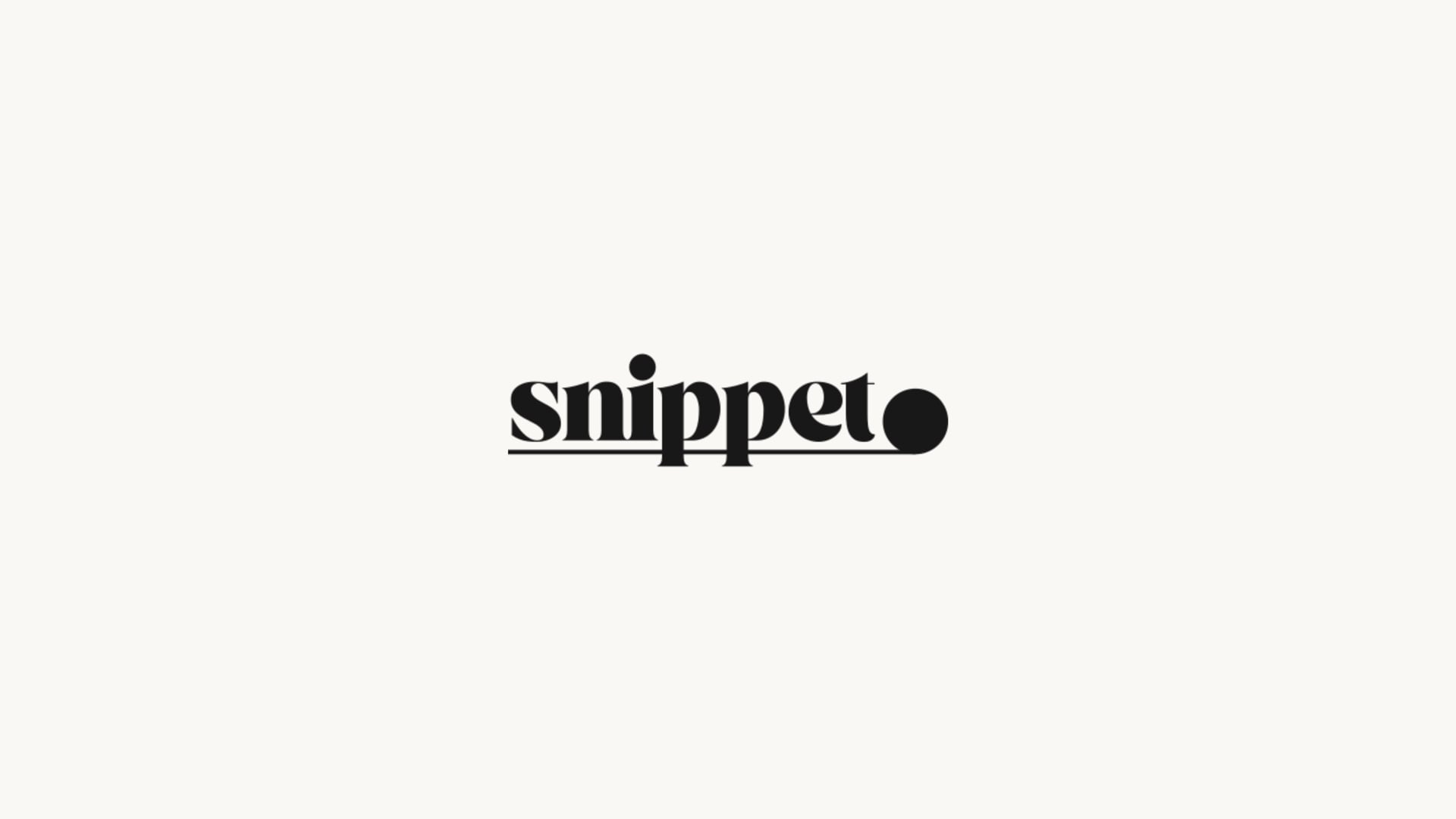 Snippet demo